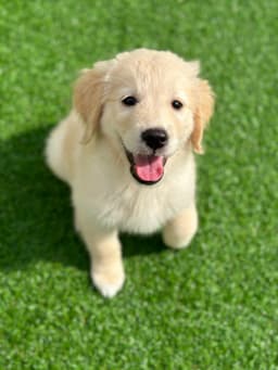 준용 프로필 이미지